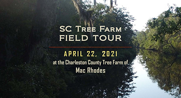 virtual tree farm field tour